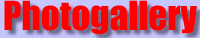 eurochead42.gif (3743 Byte)