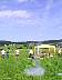 sl_0067.jpg