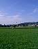 sl_0084.jpg
