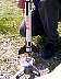 mmv0037.jpg