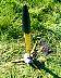 mmv0015.jpg