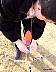 mmv_0026.jpg
