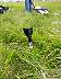 mmv_0007.jpg