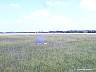mmv_0098.jpg