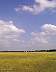 mmv_0105.jpg